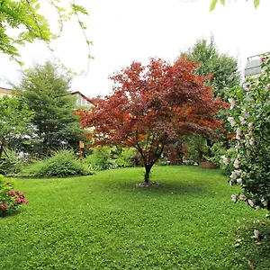 Nigler Appartement Innsbruck